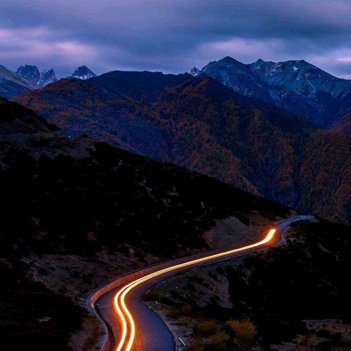 追月人为心而动♡身边人是意中人