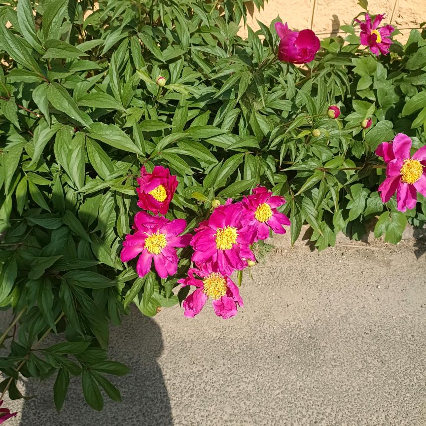 爱不是一个人的错