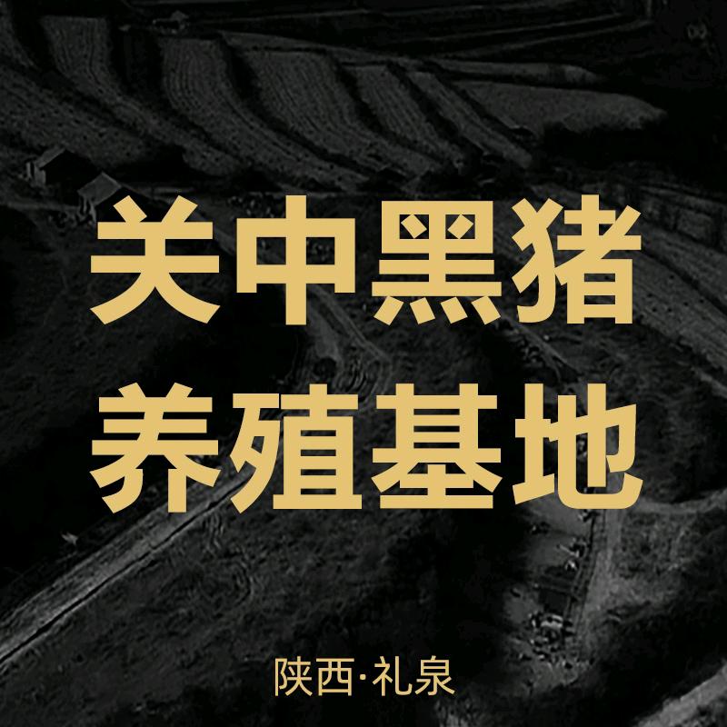 九嵕山散养土猪肉