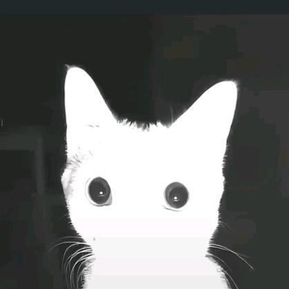 十七.（见过王源版）