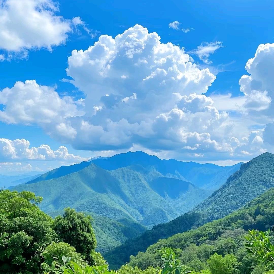 小艳交朋友晚上7:50开播。