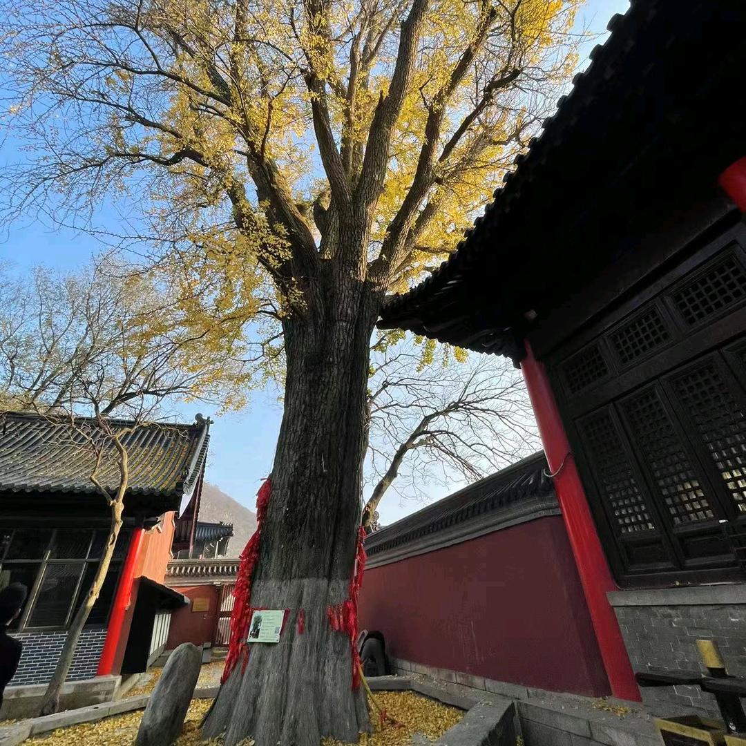 欧气满满
