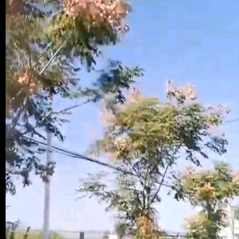 风轻云淡