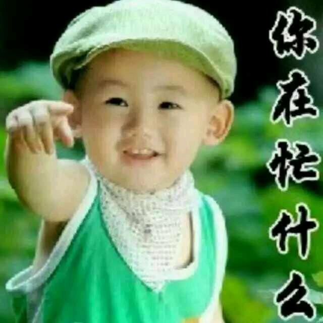 杨子聊金融