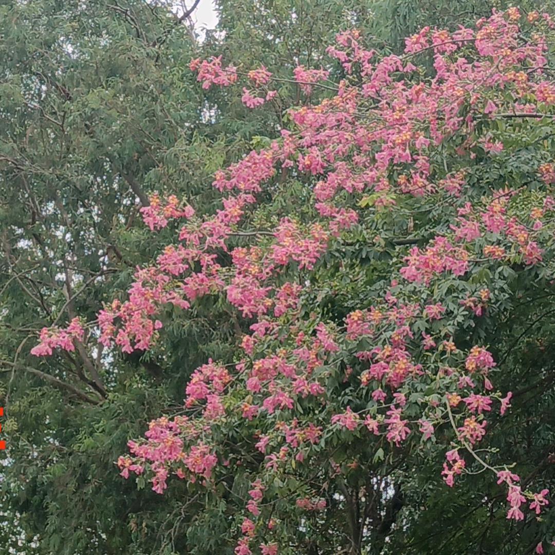 三和锂石材工艺