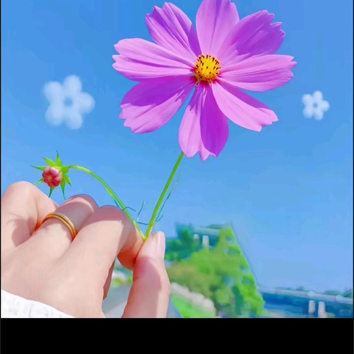 诺言
