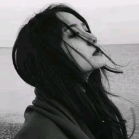 人生只是多一个经历