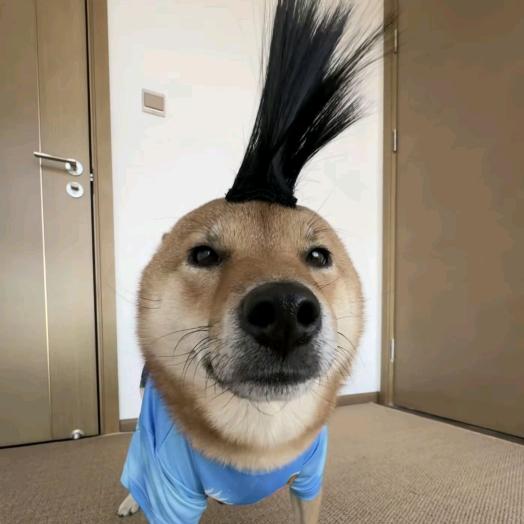 ゛火鸡味锅吧