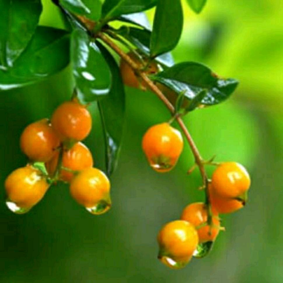 💃有趣的灵魂万里挑一