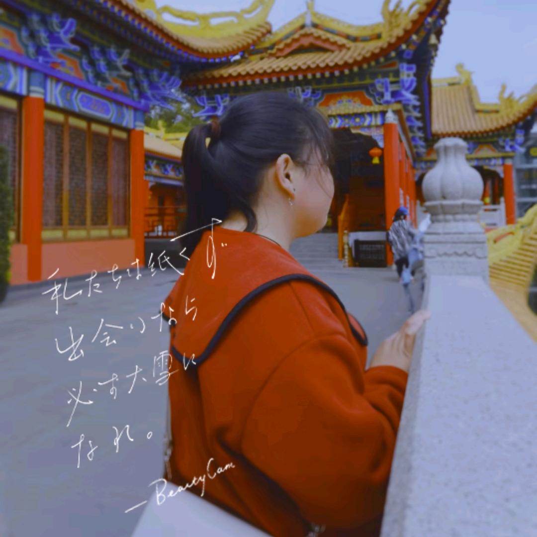 🌻向日葵约定