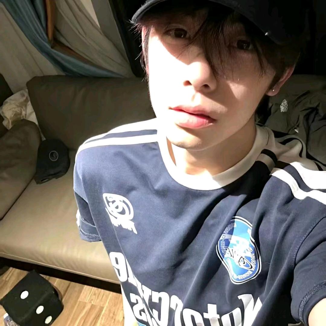自由翱翔的知更鸟