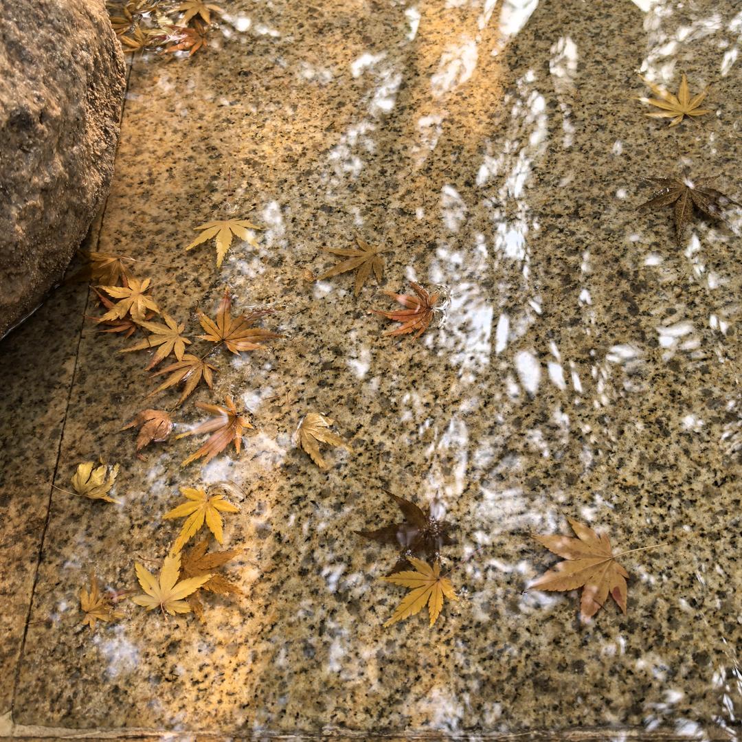 率土之滨