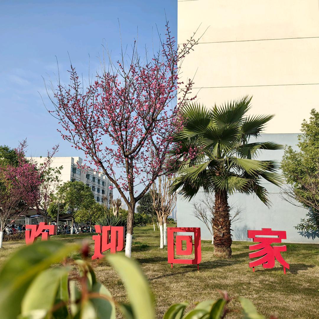 我在广安打螺丝