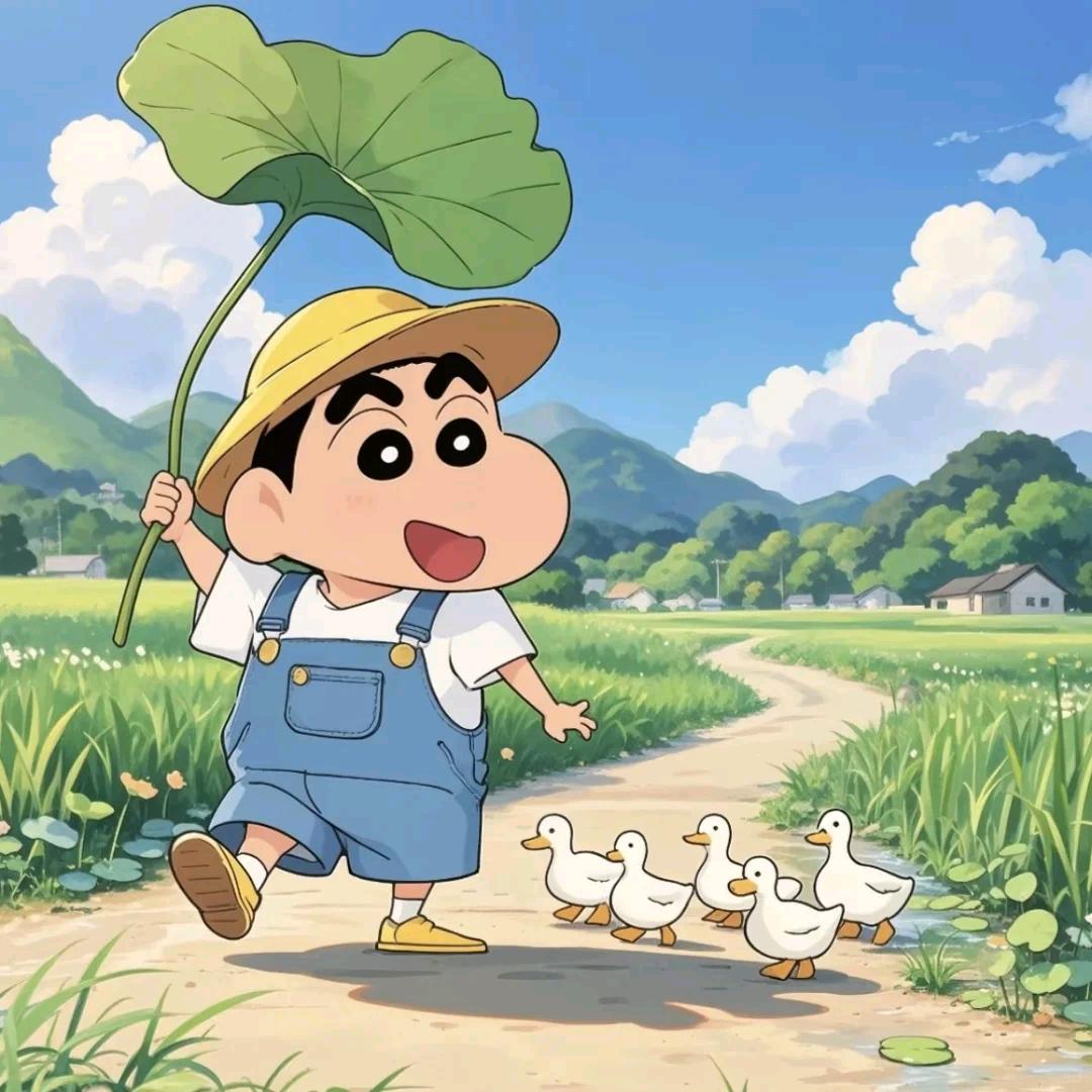 小辛推荐