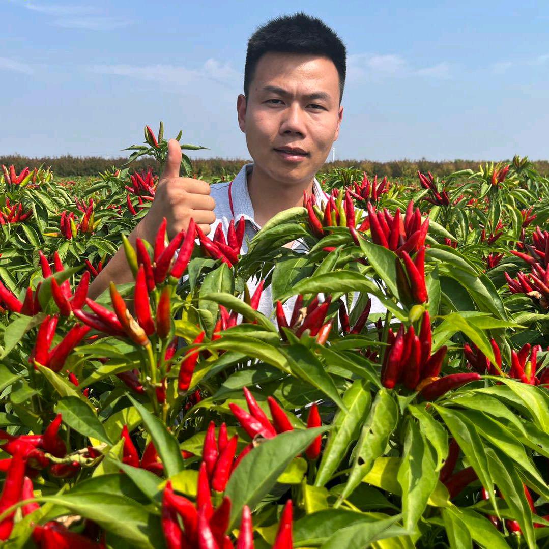 太康李帅直播账号@2