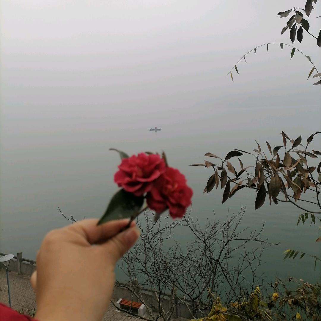 小丽