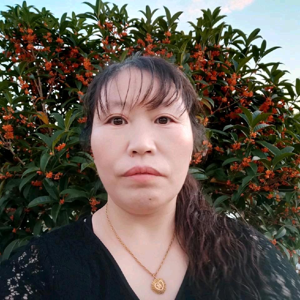 红梅傲雪