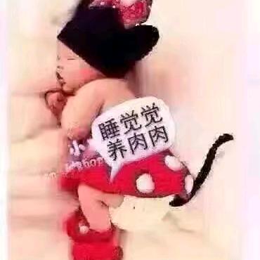 馋嘴猫