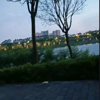 打工妹专业拆墙开线槽🌹🌹