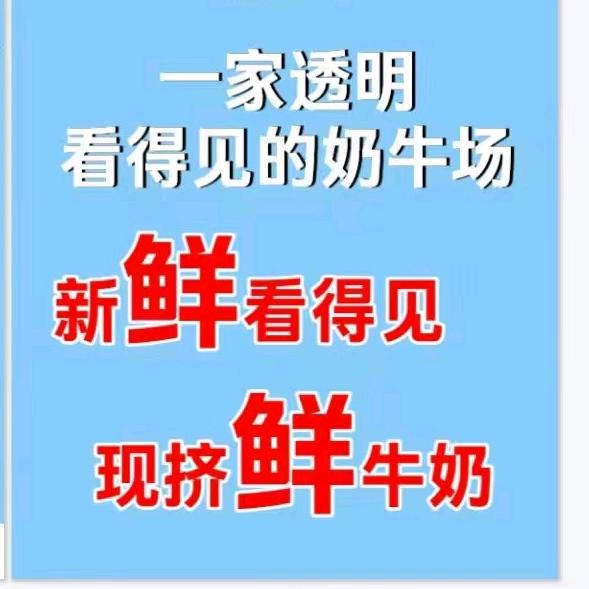 赵小姐鲜牛奶，手工酸奶