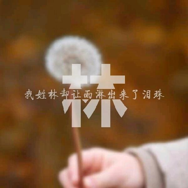 似水流浪
