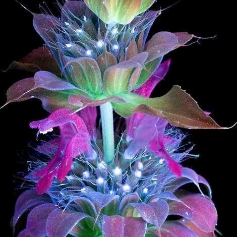 我是☆一片☆_☆云