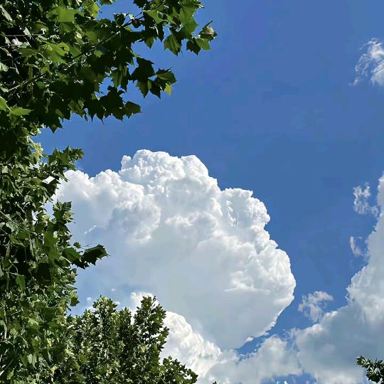 海阔天空-（关注发）