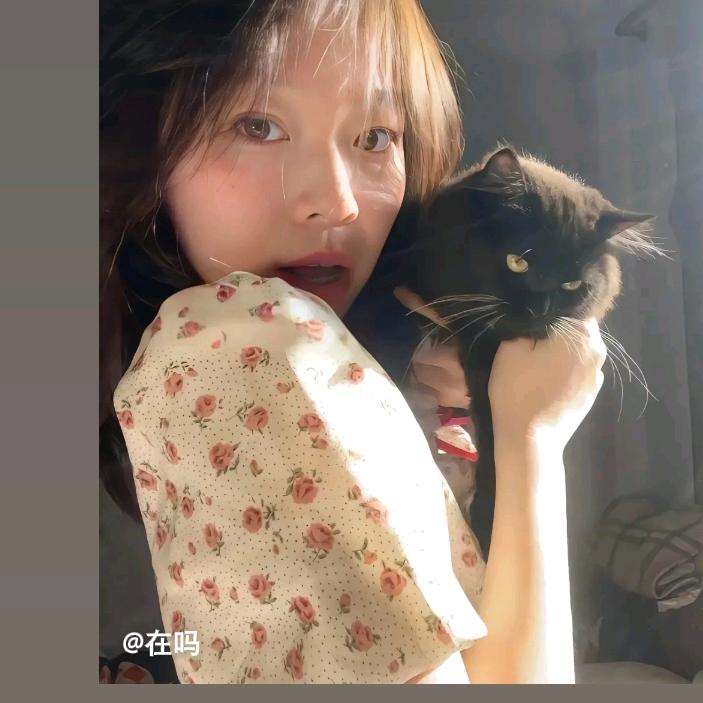 思敏小说