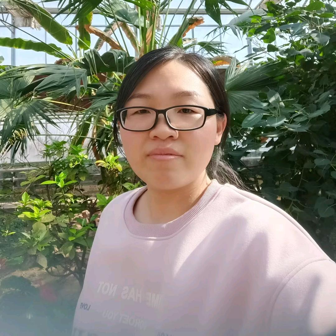 河北杨冉