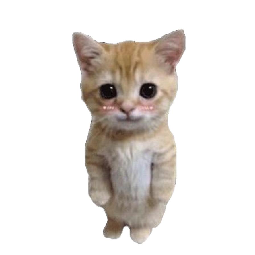 鹿可猫meme