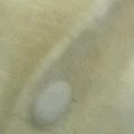 💝💝💝👍嘿嘿