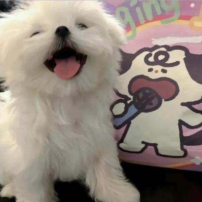 请叫我女神💜