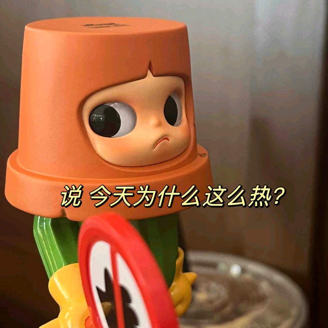 露露一