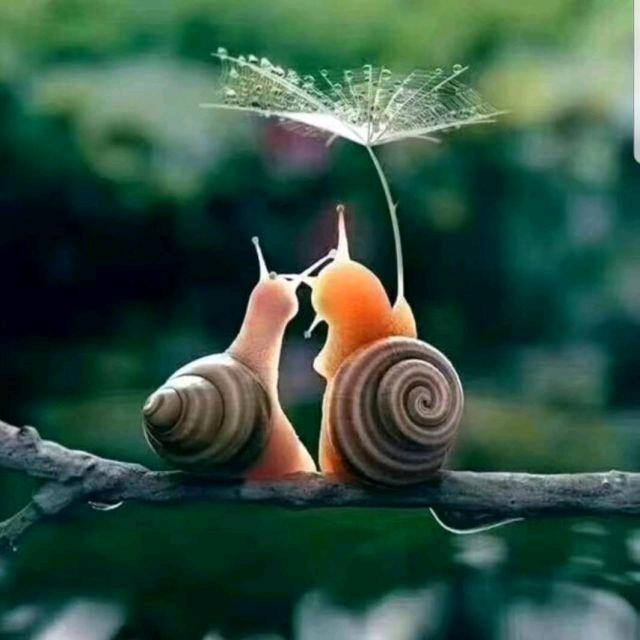 耳目极尽声色之好