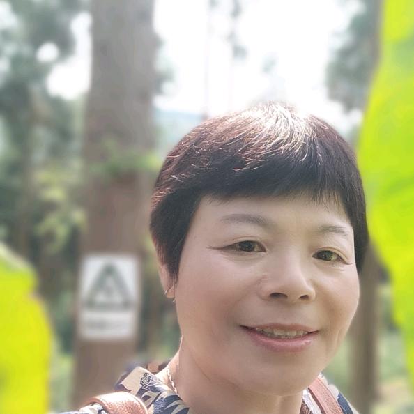 何学菊