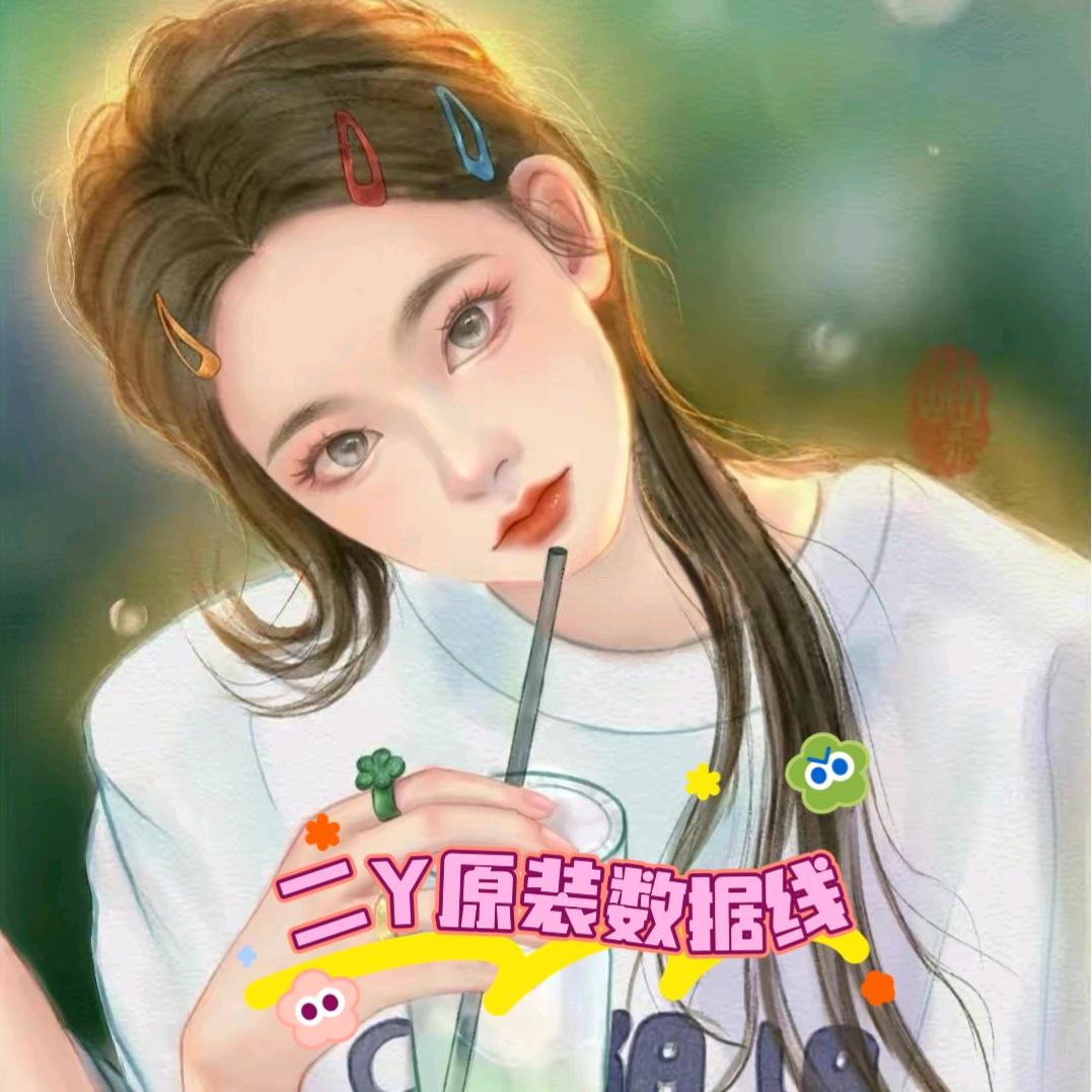 二Y原装快冲数据线