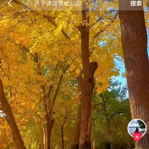 感恩有你