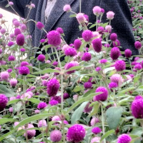 默默无闻20522641274