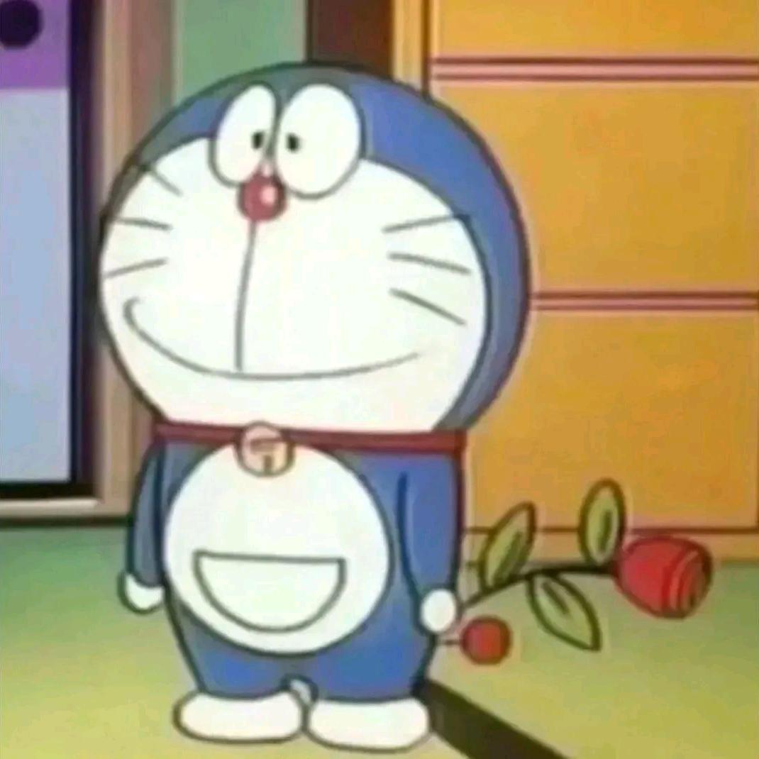 海棠有点朵