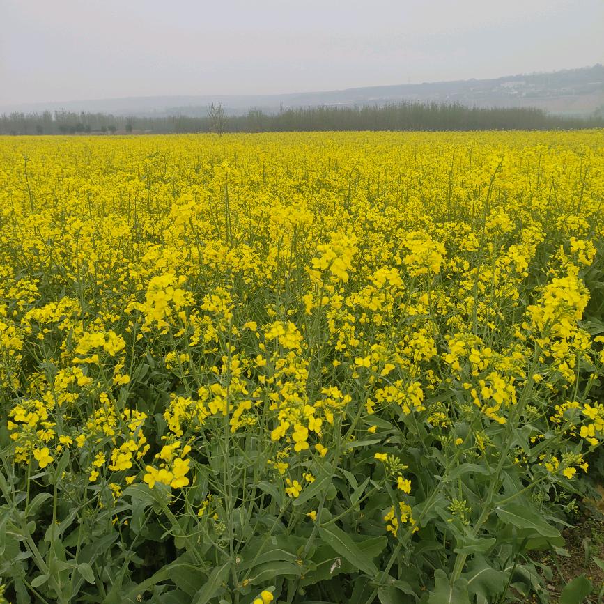 雨后彩虹