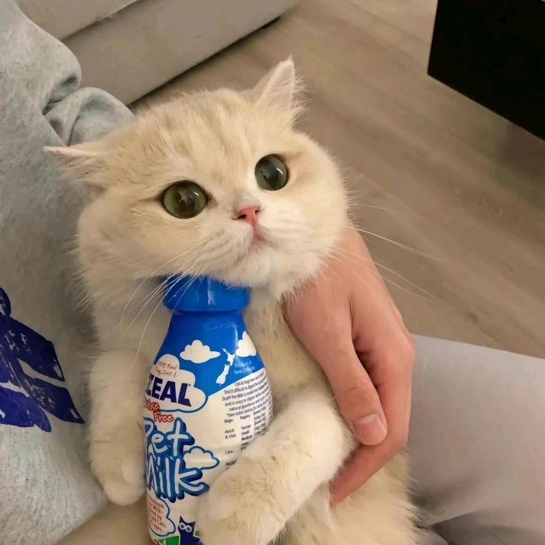 小尛