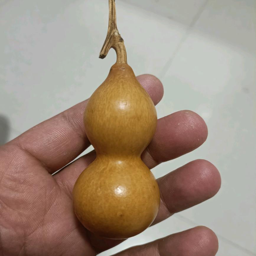 小黑黑