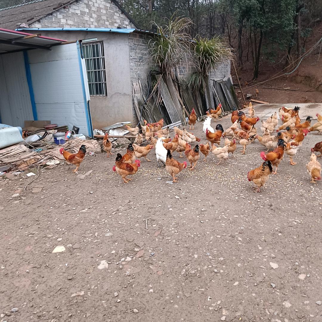 人生就像一场梦