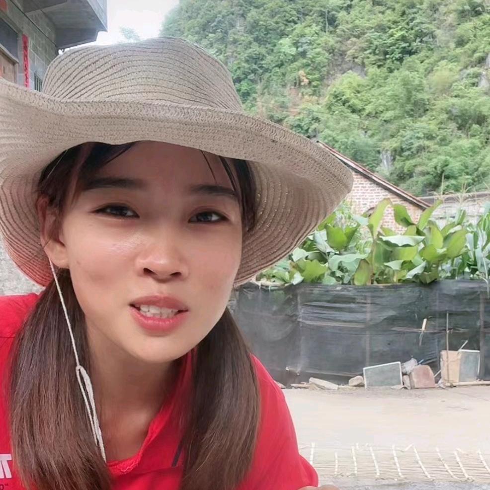 燕子农村生活