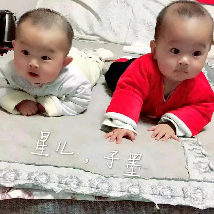 白哥