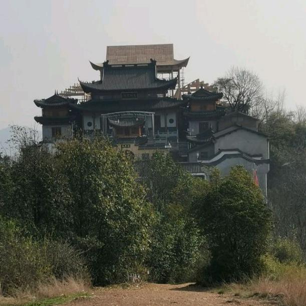 交管哥