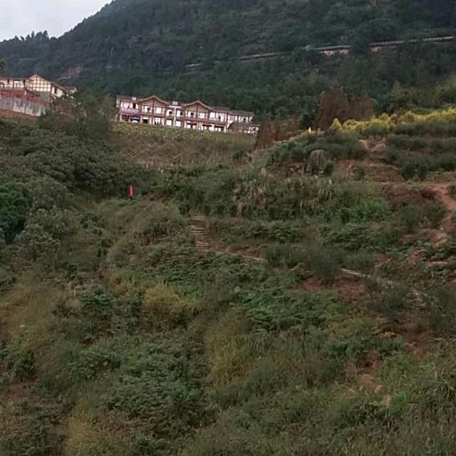 无声的爱