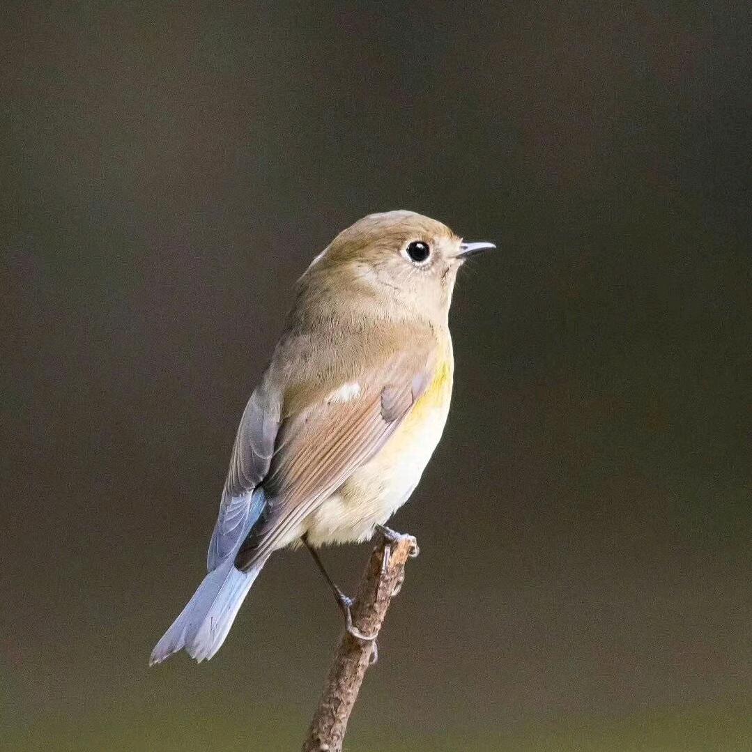 立校汽车维修养护