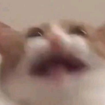 邪恶橘猫人