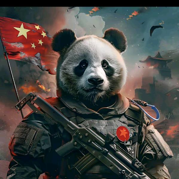 那年窗外